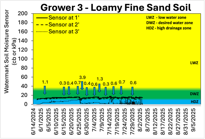 Grower 3 data on watermark sensor readings in loamy fine sand, highlighting moisture patterns across the root zone.