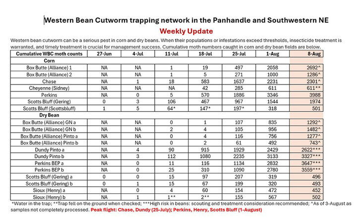 Cumulative western bean cutworm moth catches from green bucket pheromone traps.