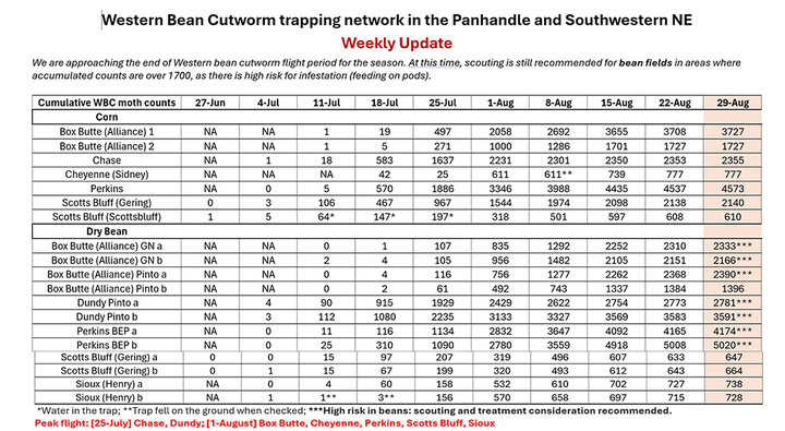 Cumulative western bean cutworm moth catches from green bucket pheromone traps.
