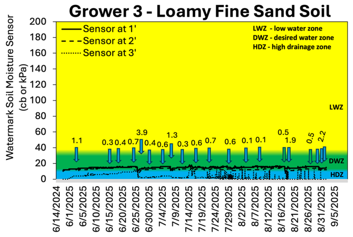 Grower 3 data on watermark sensor readings in loamy fine sand, highlighting moisture patterns across the root zone.