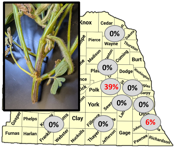 Map of Nebraska showing survey sites for Phytophthora in soybeans, with percentages of symptomatic plants marked in gray circles. Most sites show 0% incidence; two sites in central and southeastern Nebraska report 39% and 6%. An inset photo shows a soybean stem with dark lesions typical of Phytophthora infection.