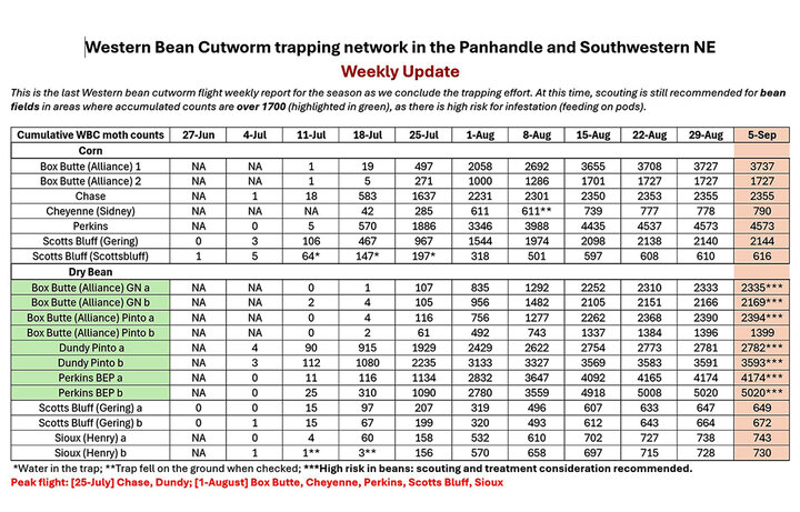Cumulative western bean cutworm moth catches from green bucket pheromone traps.