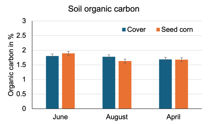 Bar chart comparing soil organic carbon in cover crop vs. seed corn fields at three sampling times, showing higher levels in August cover crops.