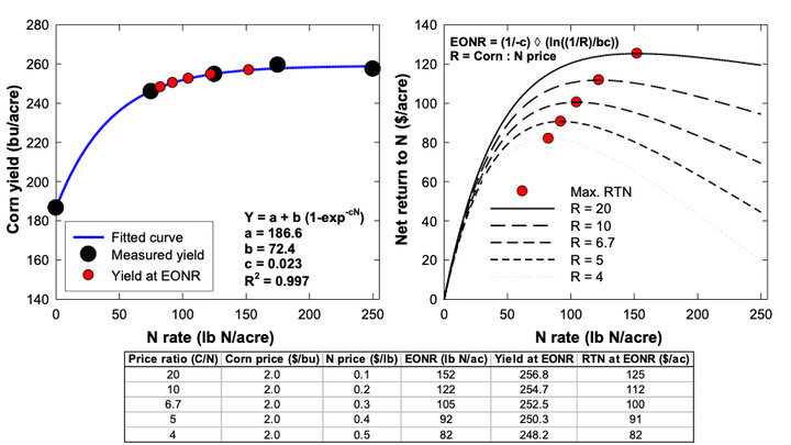 Side-by-side graphs and a table showing corn yield response to nitrogen fertilizer at the South Central Ag Lab in 2002. The left graph displays a fitted curve where yield increases with N rate up to about 250 bu/acre, leveling off as rates rise. The right graph shows net return to nitrogen at different corn-to-fertilizer price ratios, with economic optimum N rates (EONR) ranging from 82 to 152 lb/acre. The table summarizes results, showing yields at EONR of 248–257 bu/acre and corresponding returns from $91
