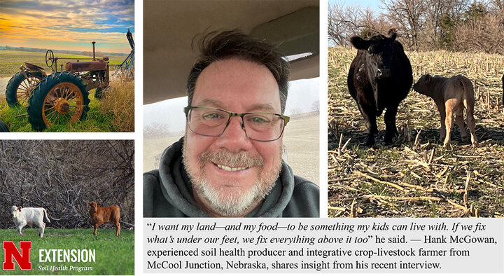 Collage showing a farmer, grazing cattle, young calves and an old tractor, with a quote about healthy soil and family stewardship.