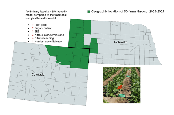 Map of Nebraska and Colorado highlighting 50 sugar beet farm locations in green, with summary bullets comparing ERS and traditional nitrogen models.