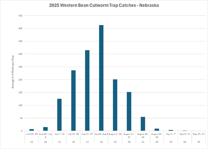 Bar chart showing average western bean cutworm moth counts per trap in Nebraska during 2025, peaking in late July and declining into September.