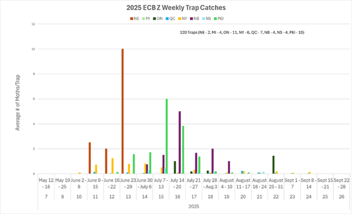 Bar chart showing average weekly European corn borer moth catches (Z strain) across multiple states in 2025, with peak activity in late June and mid-July.