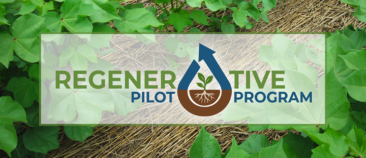 Graphic reading “Regenerative Pilot Program” over a background of green plants and crop residue, with a droplet and seedling icon.