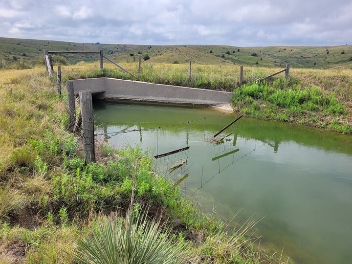 Small pond with green water, surrounded by grass and a damaged concrete barrier under a cloudy sky.