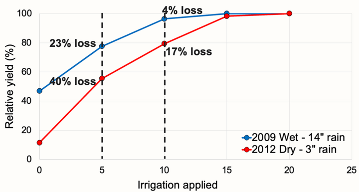 Graph comparing irrigation applied to relative yield under wet and dry conditions, showing yield loss percentages.