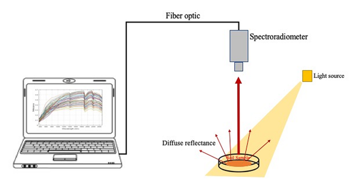 Fiber optic diagram showing spectroradiometer, light source, diffuse reflectance, and sample analysis.
