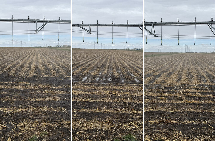 Plowed farmland under irrigation, cloudy sky overhead.