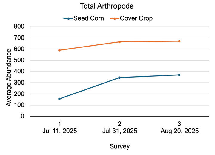 Line graph showing arthropod abundance over three surveys for seed corn and cover crop.