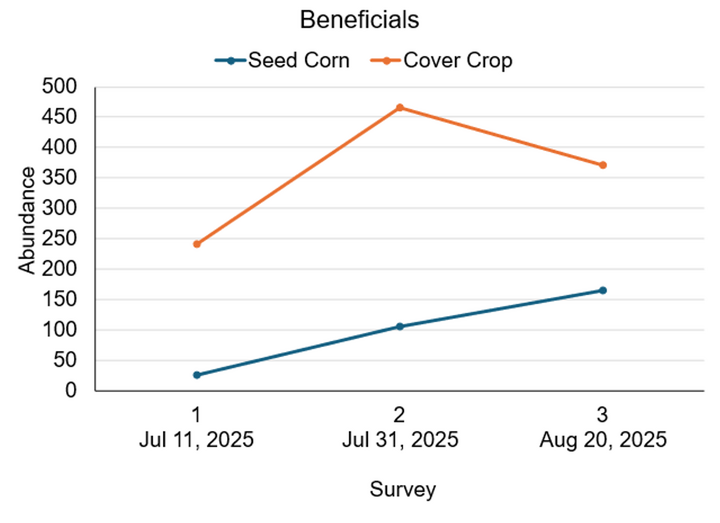 Line graph comparing seed corn and cover crop abundance over three surveys in 2025.