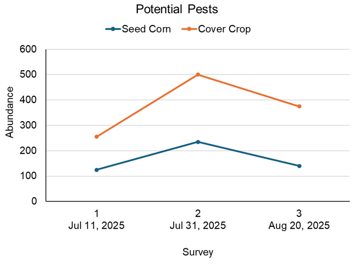 Line chart showing pest abundance for seed corn and cover crop across three survey dates in 2025.