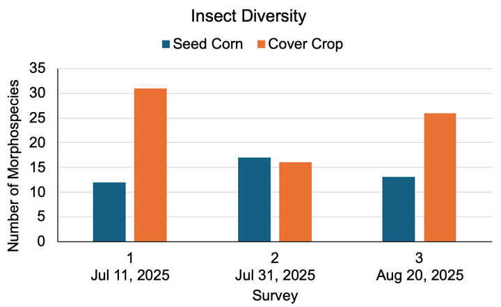 Bar chart displaying insect diversity trends for seed corn and cover crop across three survey dates in 2025.