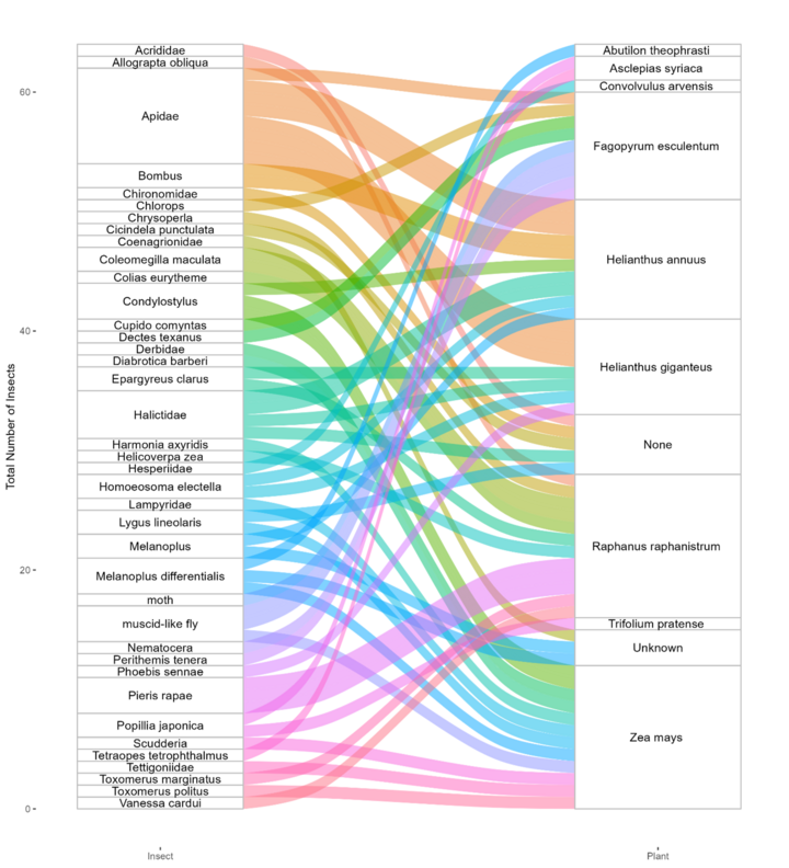 Sankey diagram linking insects to plants, represented with colorful flowing lines.