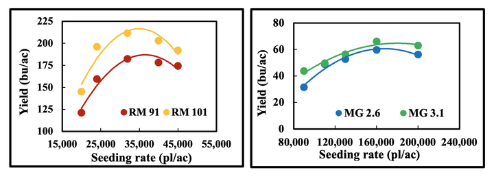Two line graphs comparing yield vs. seeding rate for RM and MG variants.