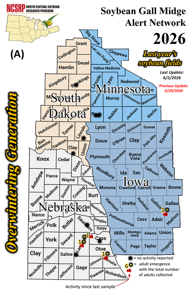 Soybean gall midge alert map for 2026 covering South Dakota, Nebraska, Minnesota, and Iowa.