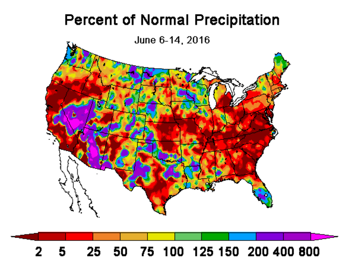 7-day precipitation forecast