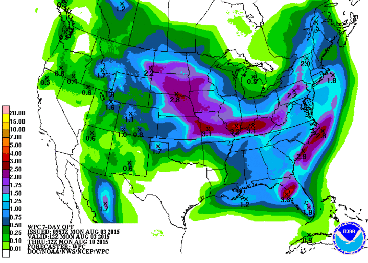 Forecast for precipitation