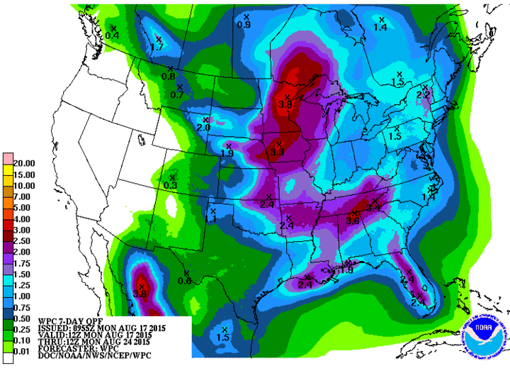 Forecast for precipitation