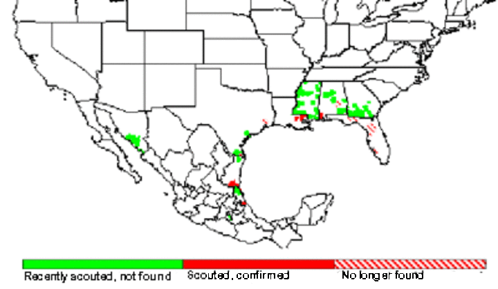 U.S. map showing locations of confirmed soybean rust as of April 20, 2009
