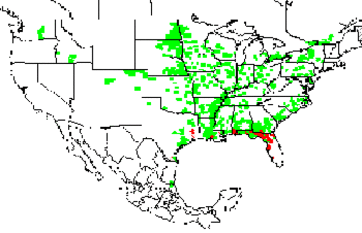 U.S. map showing soybean rust occurrence this year.