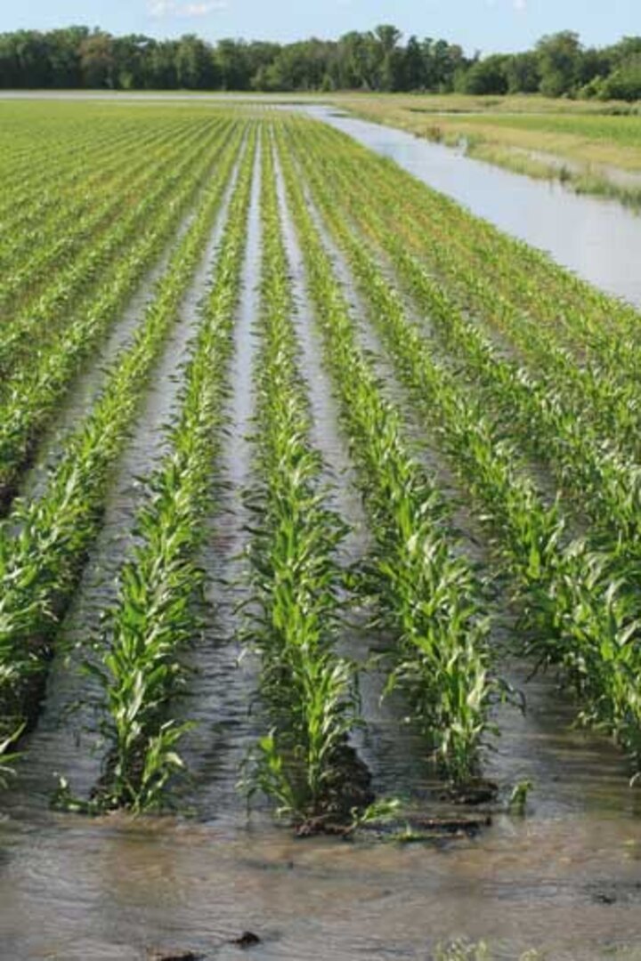 Photo of a flooded Nebraska field where nitrogen loss is possible.