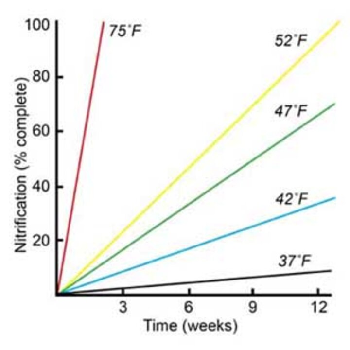 Graph depicting nitrification of soil over time at different temperatures 