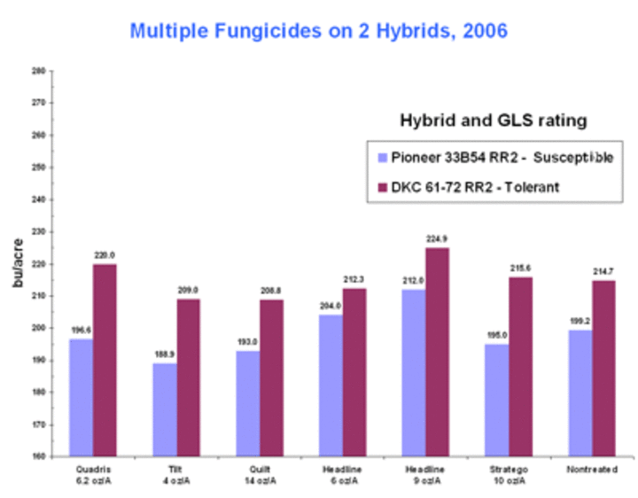 Figure 1. Corn yield from fungicide treatments applied to two hybrids at tasseling in 2006 prior to severe southern rust and gray leaf spot development. 