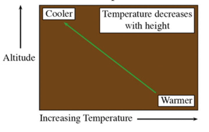 Normal temperature prodile