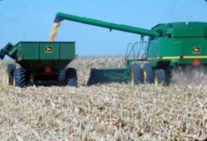 Harvesting corn