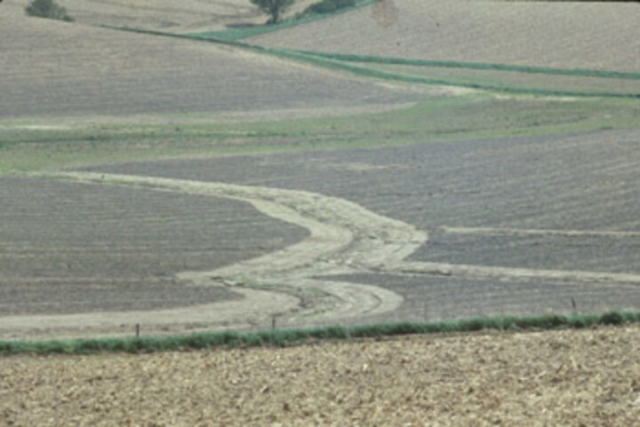 Photo of field gully