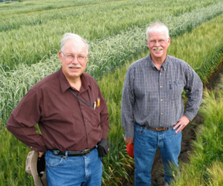 Professors P. Stephen Baenziger (<em>left</em>) and Thomas Hoegemeyer