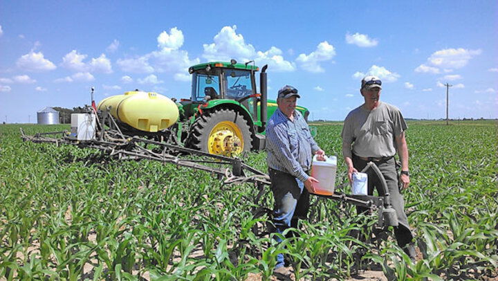 Preparing for field application of sugar