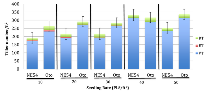 Graph of tiller numbers of various indiangrass seeding rates