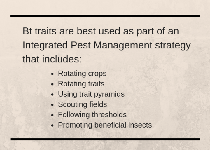 Infographic: How Bt Traits are Best Used