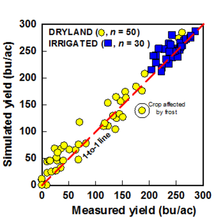 Graph showing validation of Hybrid-Maize simulations of final yield (bushels per acre) against actual yields in optimally managed crops, under irrigated and rainfed conditions.