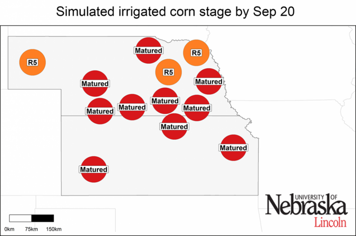 Estimated growth stages of irrigated corn