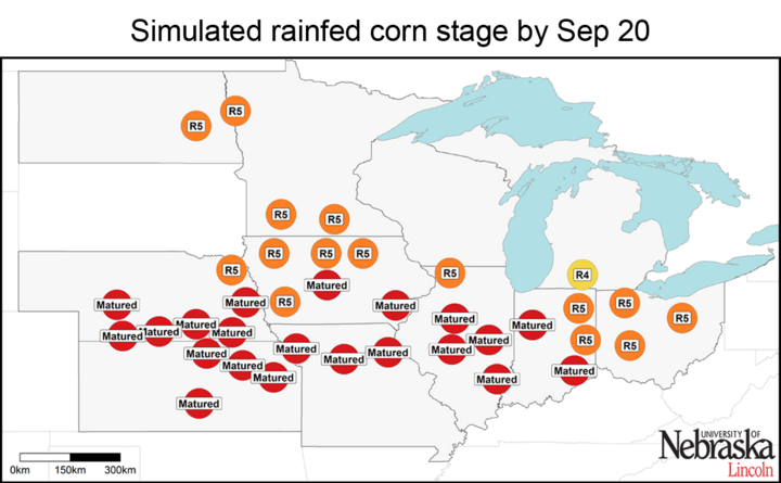 Estimated corn growth stage at rainfed sites