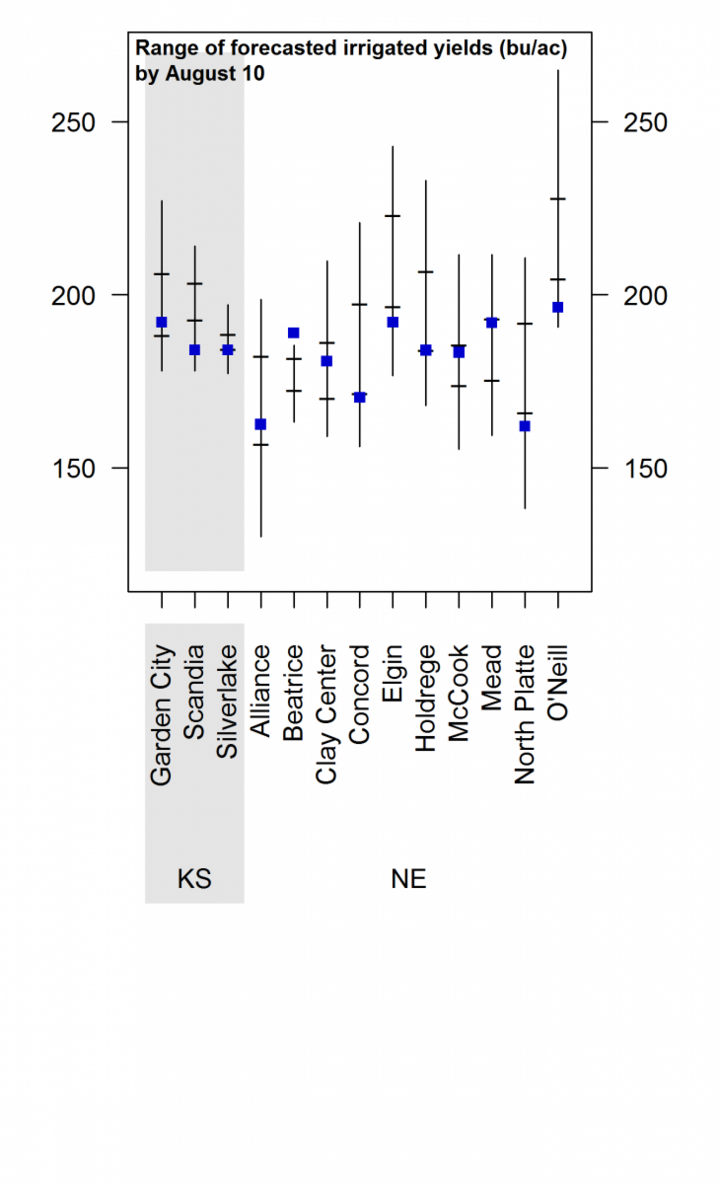 simulated irrigated corn yields