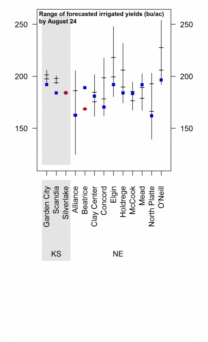 simulated irrigated corn yields