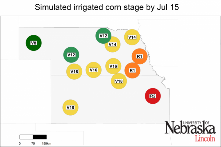 Irriated growth stage as of July 15, 2019