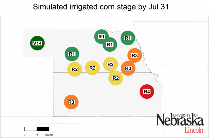Irriated growth stage as of July 15, 2019