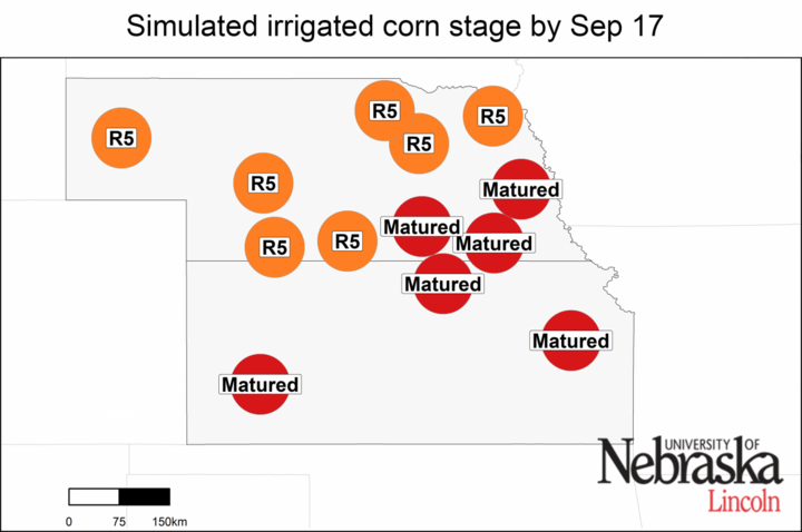 Irriated growth stage as of September 17, 2019