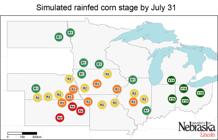 Rainfed phenology as of July 15