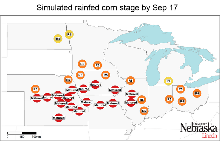 Rainfed phenology as of September 17