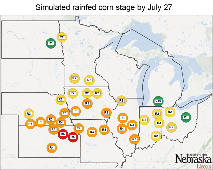Simulated rainfed corn stages